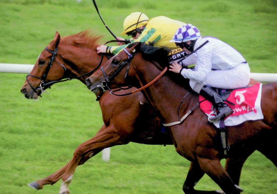 Piri Wango Gowran Park Sun 4th May 2014